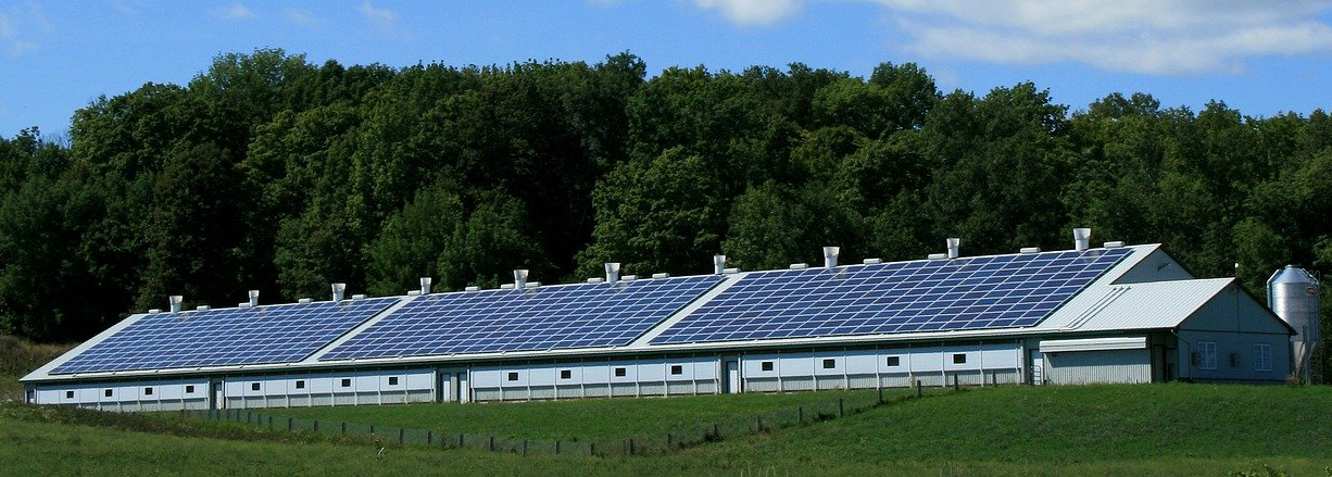 solceller bondgård Lantbruk solceller